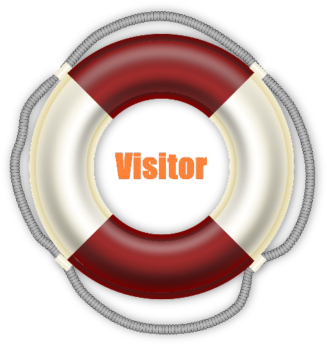 Visitor Intro